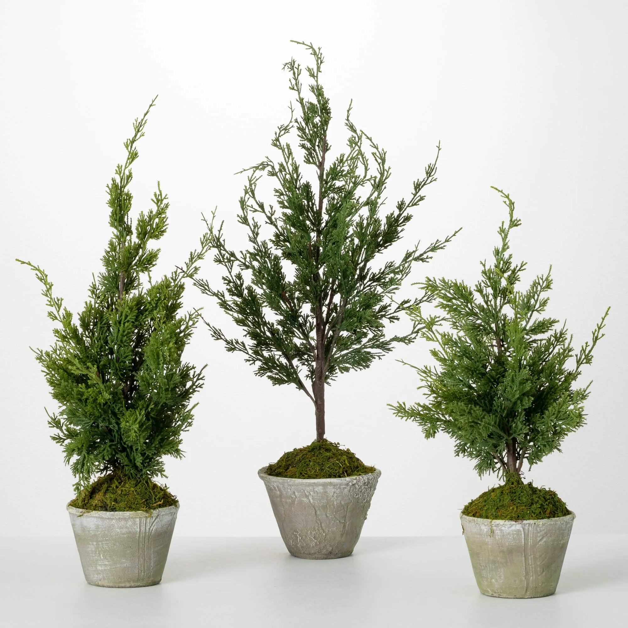 22"H, 26"H and 32"H Sullivans Faux Dwarf Cedar Tree - Set of 3, Green