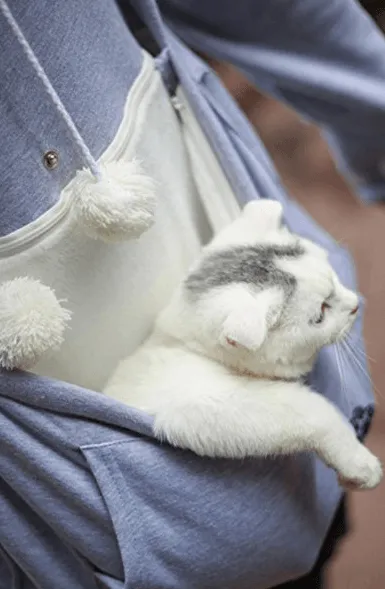 CAT SNUGGLE HOODIE