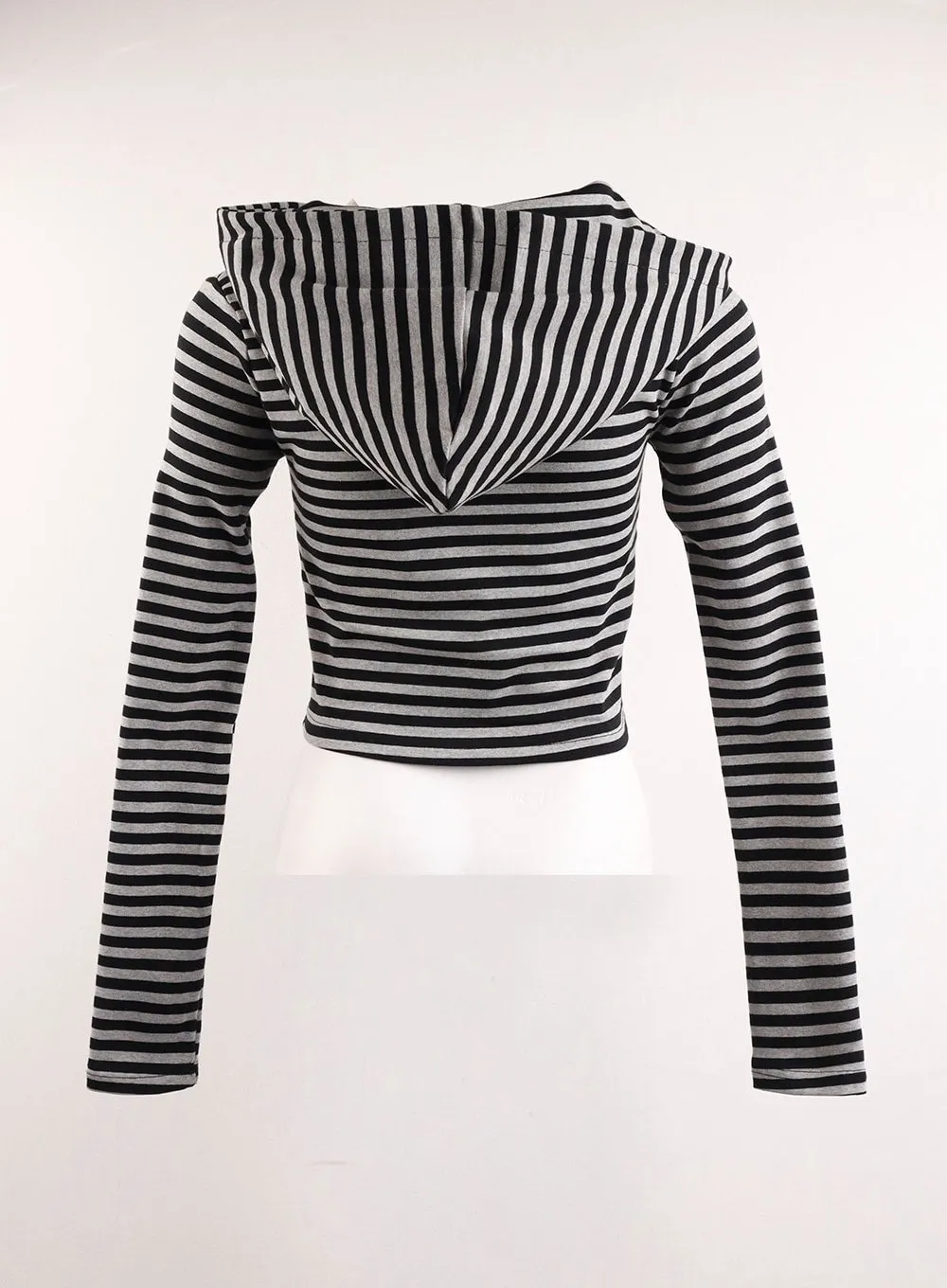 Grunge Slim Fit Stripe Crop Zip-Up Hoodie IJ410