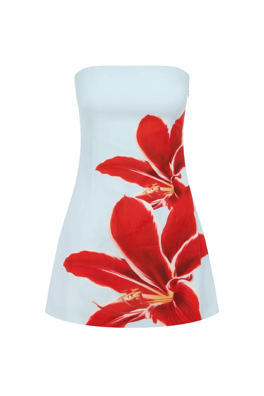 Prim Mini Dress - Red Lily