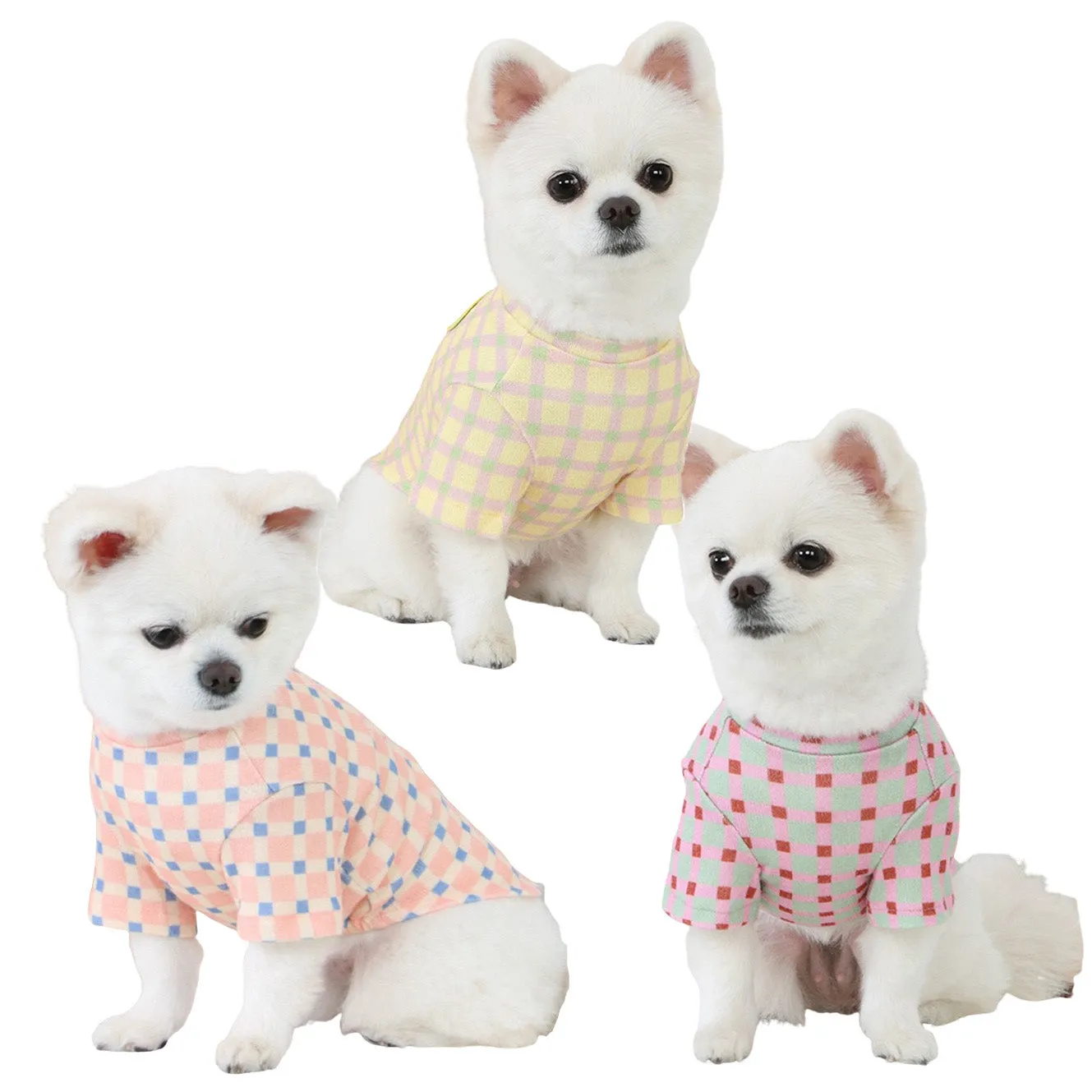 R logo Dogs Clothes Checked patterned Casual Cute Comfortable Clothing Sweaters Korean Designers Apparel Outfits Pastel Colours Pets Knit Banding